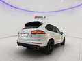 Porsche Cayenne 3.0 Diesel Platinum Edition SENZA FINANZIAMENTO Bianco - thumbnail 6