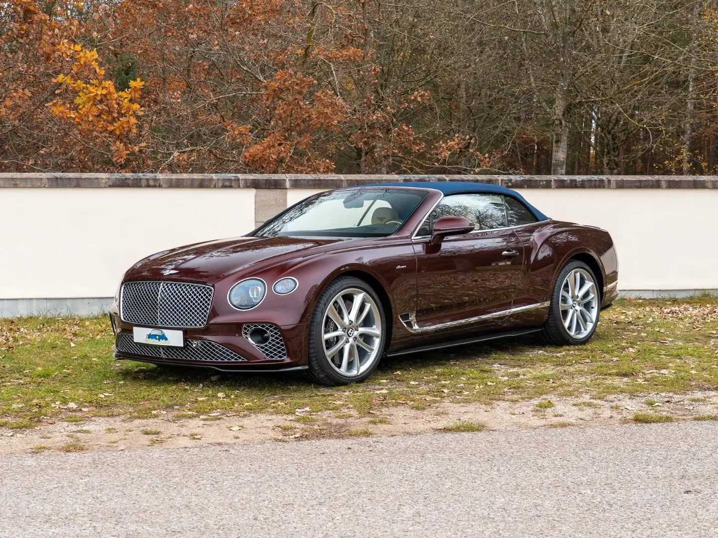 Bentley Continental GTC Violett - 1