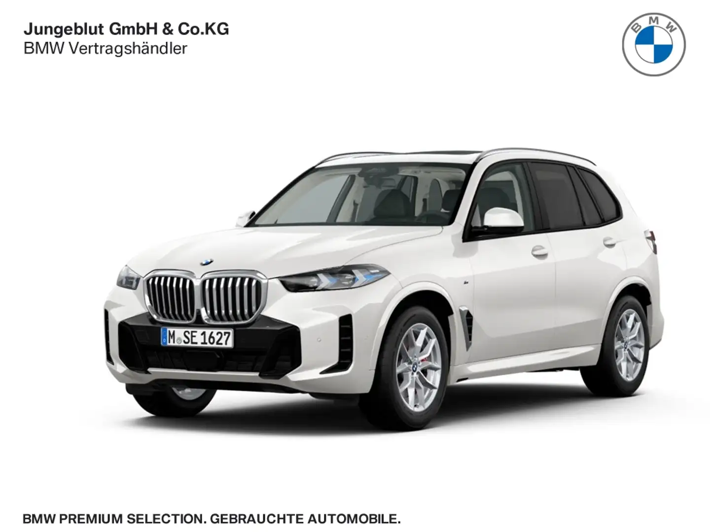 BMW X5 40d M Sport pro xDrive Park-Assist/Integral-Lenkun Weiß - 1