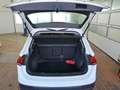 Volkswagen Tiguan MOVE 2.0 TDI DSG NAVI AHK RFK EPH ACC Weiß - thumbnail 6