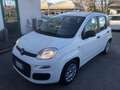 Fiat Panda Panda III 2021 1.0 firefly hybrid s PREZZO REALE Bianco - thumbnail 2