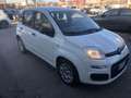 Fiat Panda Panda III 2021 1.0 firefly hybrid s PREZZO REALE Bianco - thumbnail 1
