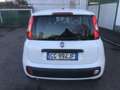 Fiat Panda Panda III 2021 1.0 firefly hybrid s PREZZO REALE Bianco - thumbnail 5