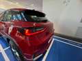 Lexus LBX Elegant Rojo - thumbnail 22