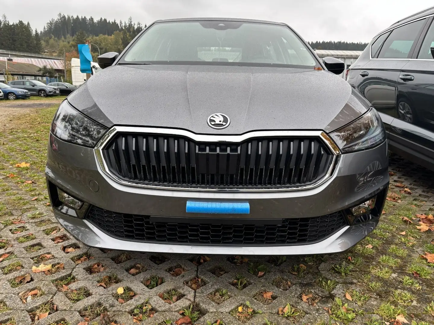 Skoda Fabia Selection Grau - 1