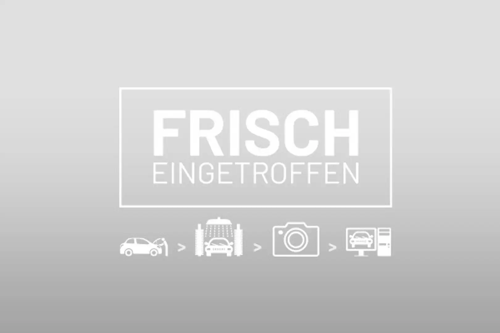 BYD Dolphin Surf 43,2 kWh Comfort Österreich Paket Grün - 1