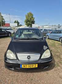 Elegance