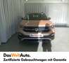 Volkswagen T-Cross Life TSI DSG Marrone - thumbnail 2