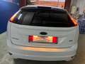 Ford Focus 1.6TDCi Trend 109 Wit - thumbnail 7