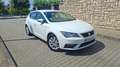 SEAT Leon 1.6TDI CR S&S Reference Plus 115 Blanco - thumbnail 20