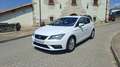 SEAT Leon 1.6TDI CR S&S Reference Plus 115 Blanco - thumbnail 15