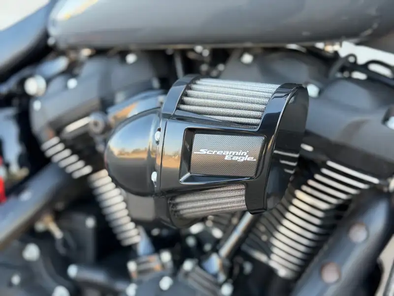 Harley-Davidson Lowrider S - foto 8