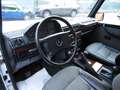 Mercedes-Benz G 300 G300 GE Station Wagon passo corto * 157.000 KM * Biały - thumbnail 8