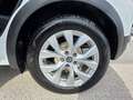 Renault Captur Captur 1.5 BlueDci Intens 115cv Automatica Bianco - thumbnail 5