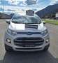 Ford EcoSport 1.5 tdci Titanium S 95cv Argento - thumbnail 1