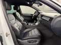Volkswagen Touareg V6 TDI R-Line Terrain 4M Bi-Xenon*Leder Blanc - thumbnail 11