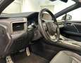 Lexus RX 350 Hybrid F Sport Argento - thumbnail 13