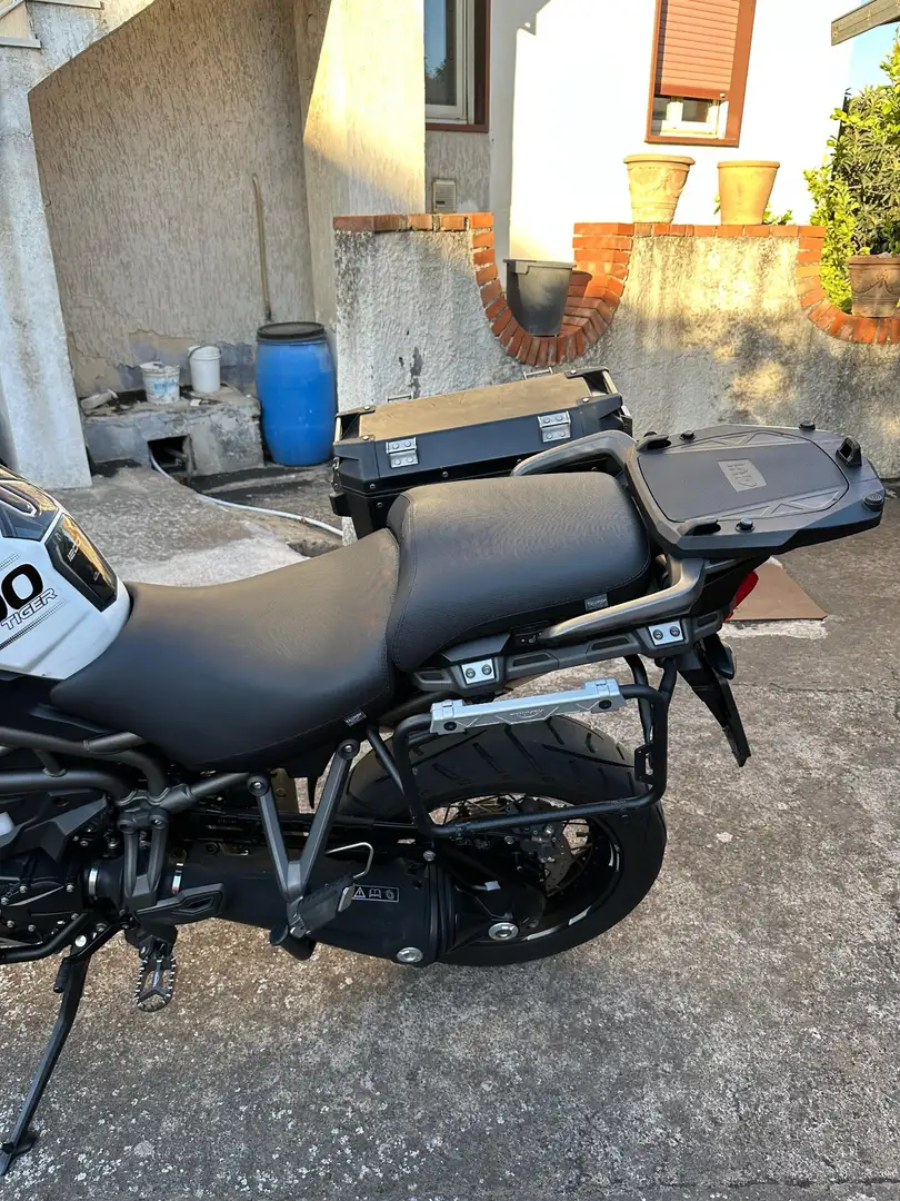 Triumph Tiger 1200 xca Blanc - 2
