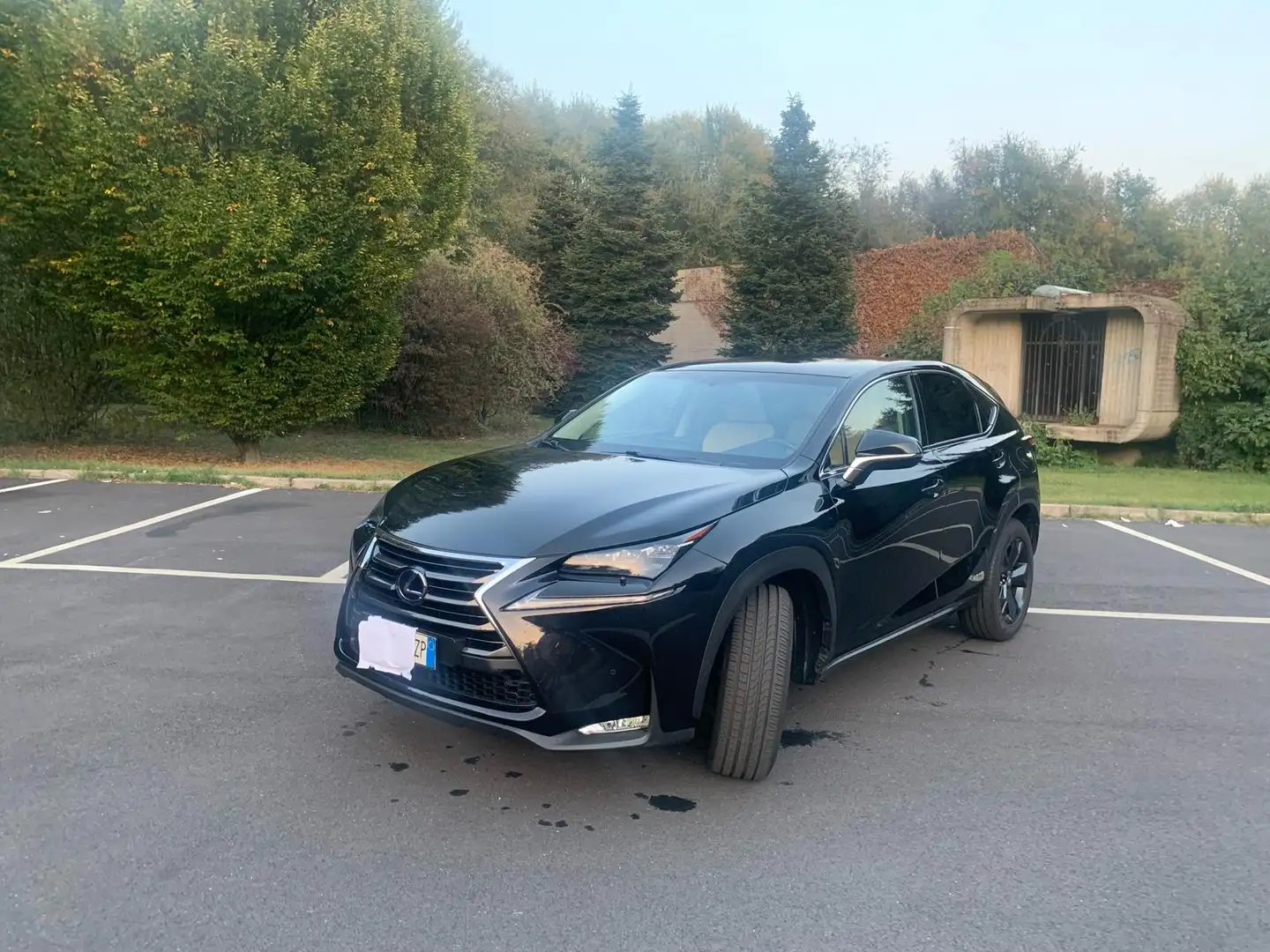 Lexus NX 300h Luxury Nero - 1