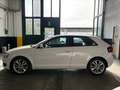 Audi A3 A3 II 2008 3p 2.0 tdi Ambiente Bianco - thumbnail 6