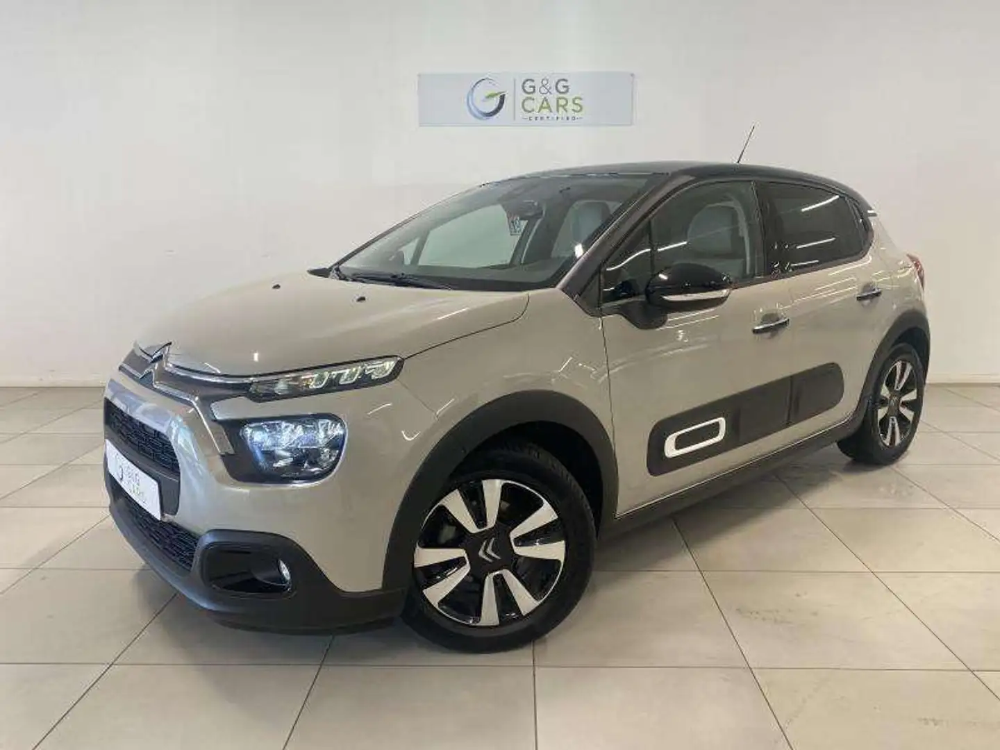 Citroen C3 MAX Beige - 1