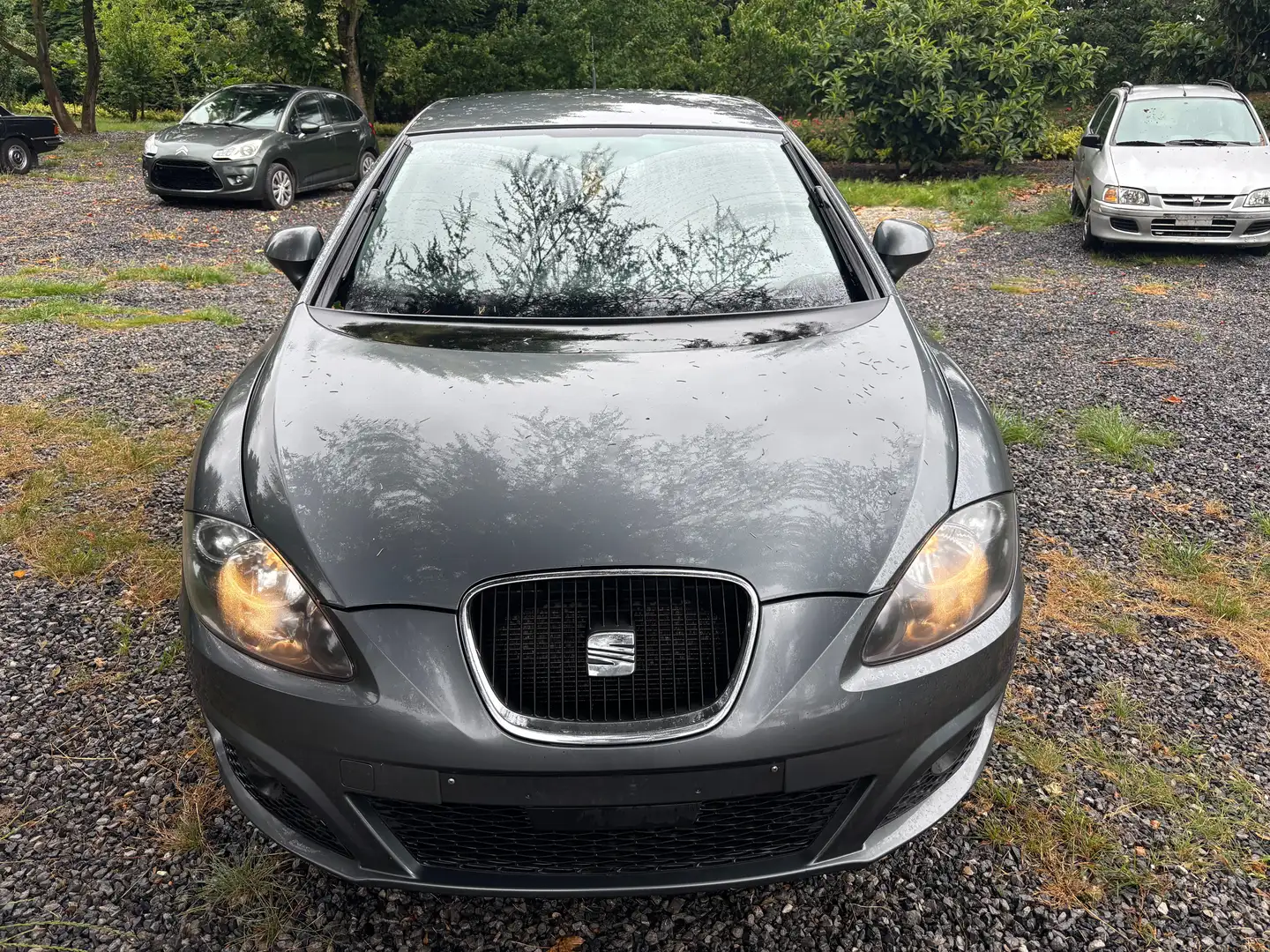 SEAT Leon Leon 1.6 CR TDi Gris - 1