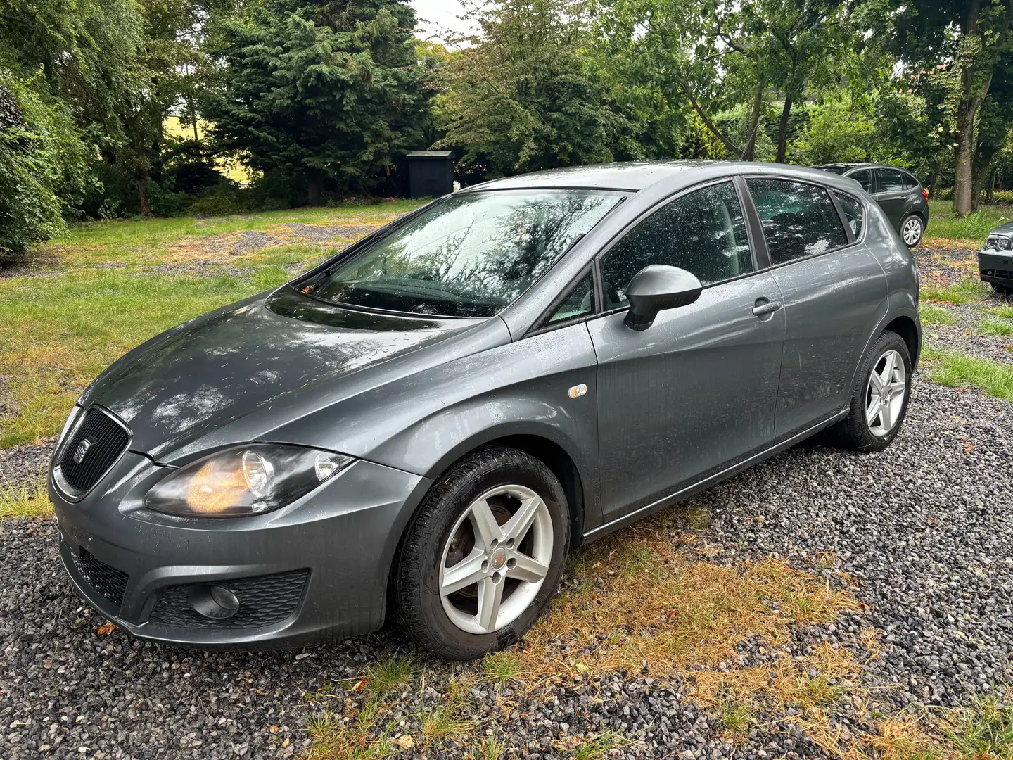SEAT Leon Leon 1.6 CR TDi Gris - 2