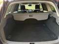 Ford Focus Wagon 1.6 Titanium | Carplay | Cruise | Airco | Di Violett - thumbnail 19