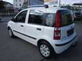 Fiat Panda 1.2 8V Dynamic ~ Klima ~ AHK ~ TÜV neu Weiß - thumbnail 4
