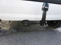 Fiat Panda 1.2 8V Dynamic ~ Klima ~ AHK ~ TÜV neu Weiß - thumbnail 5