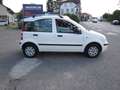 Fiat Panda 1.2 8V Dynamic ~ Klima ~ AHK ~ TÜV neu Weiß - thumbnail 6