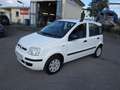 Fiat Panda 1.2 8V Dynamic ~ Klima ~ AHK ~ TÜV neu Weiß - thumbnail 2