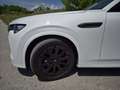 Mazda CX-60 CX-60 3.3L e-SKYACTIV D HOMURA Aut. Homura AHK, 20" Weiß - thumbnail 7