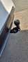 Mazda CX-60 CX-60 3.3L e-SKYACTIV D HOMURA Aut. Homura AHK, 20" Weiß - thumbnail 22