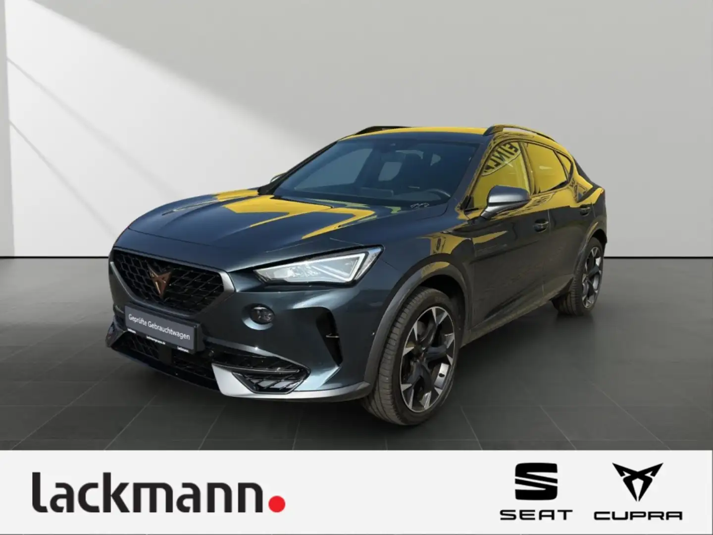 CUPRA Formentor 2.0 VZ 4Drive*Beats*Winter*elek.Heckkl. Grau - 1