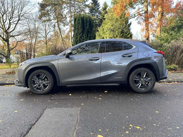 Lexus UX 250h Style Line
