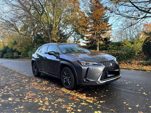 Imagine Lexus UX 250h Style Line