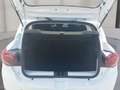 Dacia Sandero Stepway Expression TCe 90 Weiß - thumbnail 12