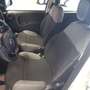 Fiat Panda 1.0 FireFly S&S Hybrid City Life Blanc - thumbnail 5
