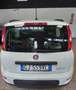 Fiat Panda 1.0 FireFly S&S Hybrid City Life Blanc - thumbnail 3