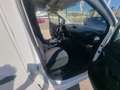 Citroen Berlingo Van BlueHDi S&S Talla M 100 Weiß - thumbnail 11