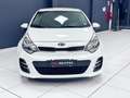 Kia Rio Rio III 2011 5p 1.4 crdi Cool Techno Pack E6 Wit - thumbnail 2