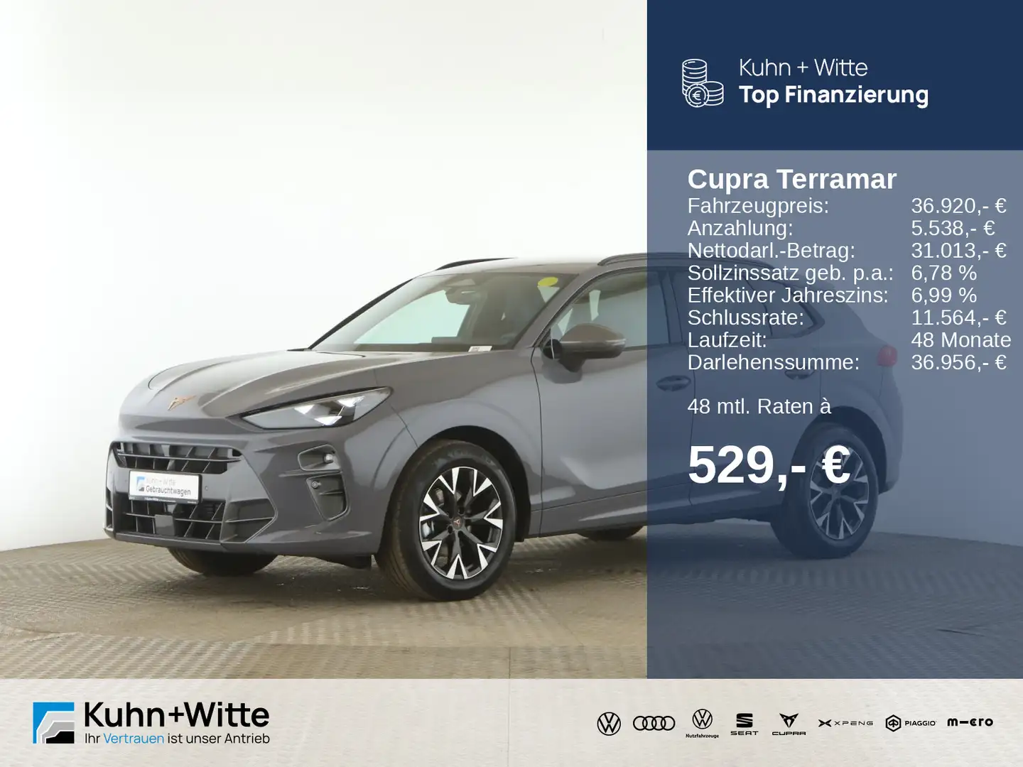 CUPRA Terramar 1.5 eTSI *AHK*LED*RFK*SHZ*AppleCar* Grau - 1