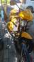 Triumph Sonstige Speed Four Gelb - thumbnail 7