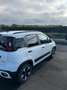 Fiat Panda Panda 1.0 firefly hybrid Cross s Weiß - thumbnail 14