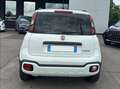 Fiat Panda Panda 1.0 firefly hybrid Cross s Weiß - thumbnail 4