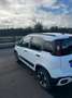 Fiat Panda Panda 1.0 firefly hybrid Cross s Weiß - thumbnail 13