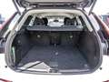 Volvo XC60 B4 Plus Dark AWD Weiß - thumbnail 14