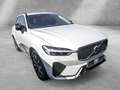Volvo XC60 B4 Plus Dark AWD Weiß - thumbnail 2
