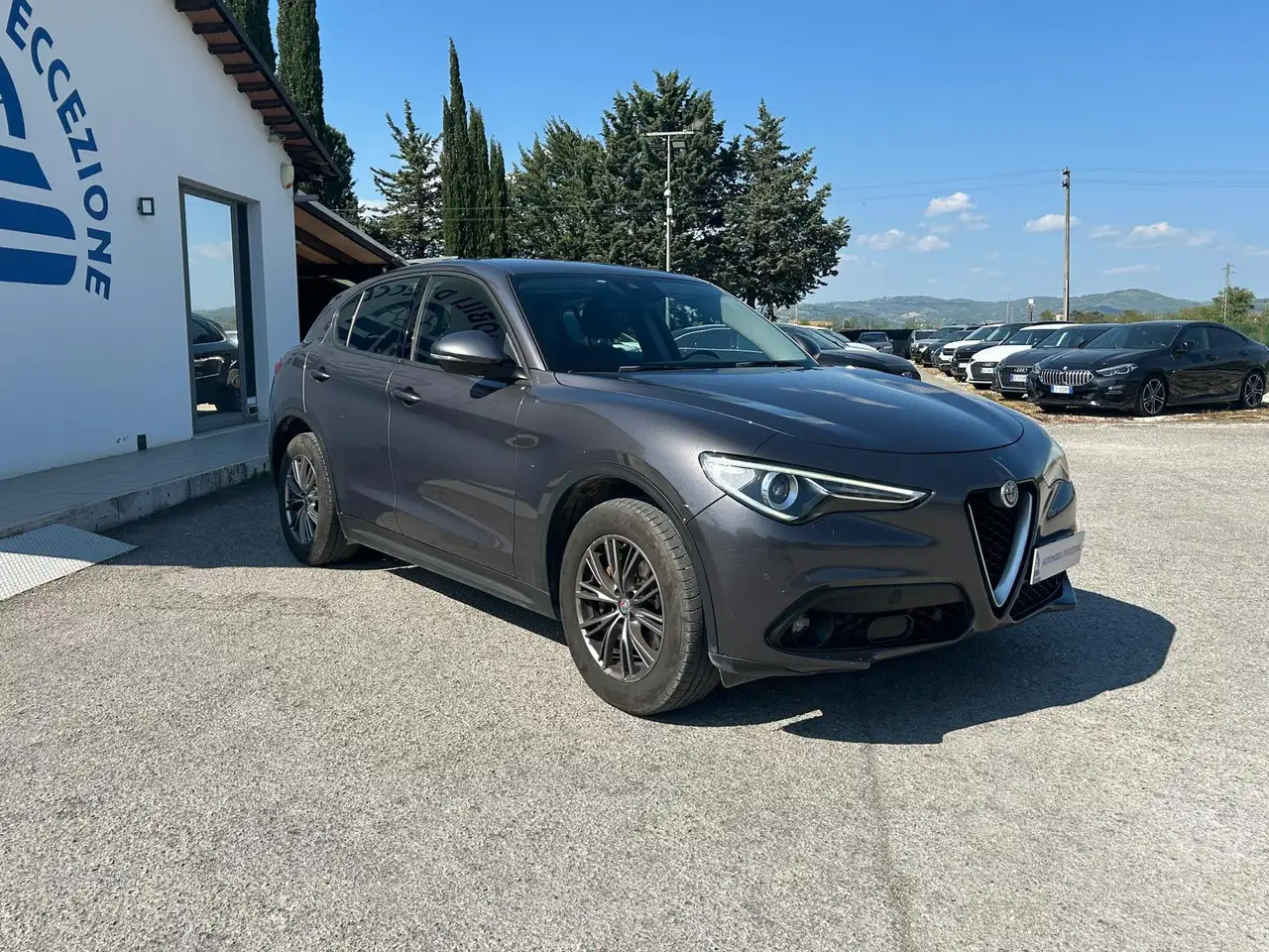 Alfa Romeo Stelvio usata in vendita